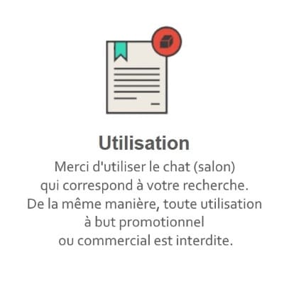 Règles du Tchat Gratuit de Rencontre-Petit.eu
